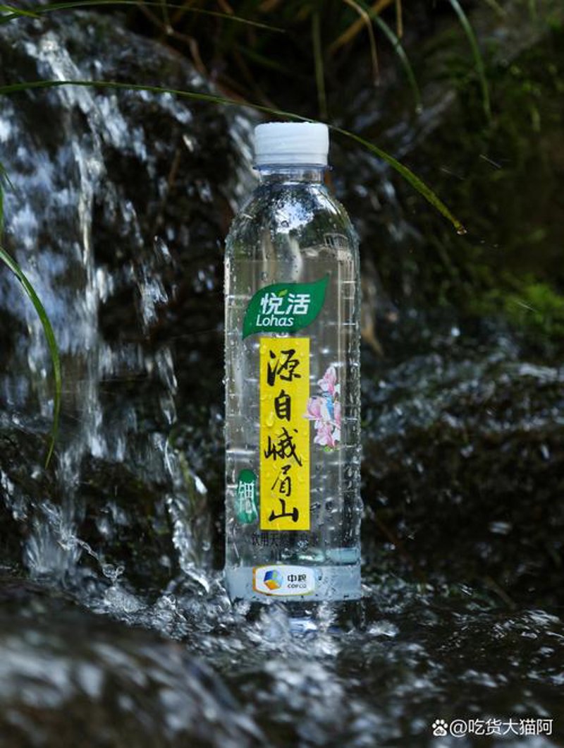 悦活养生